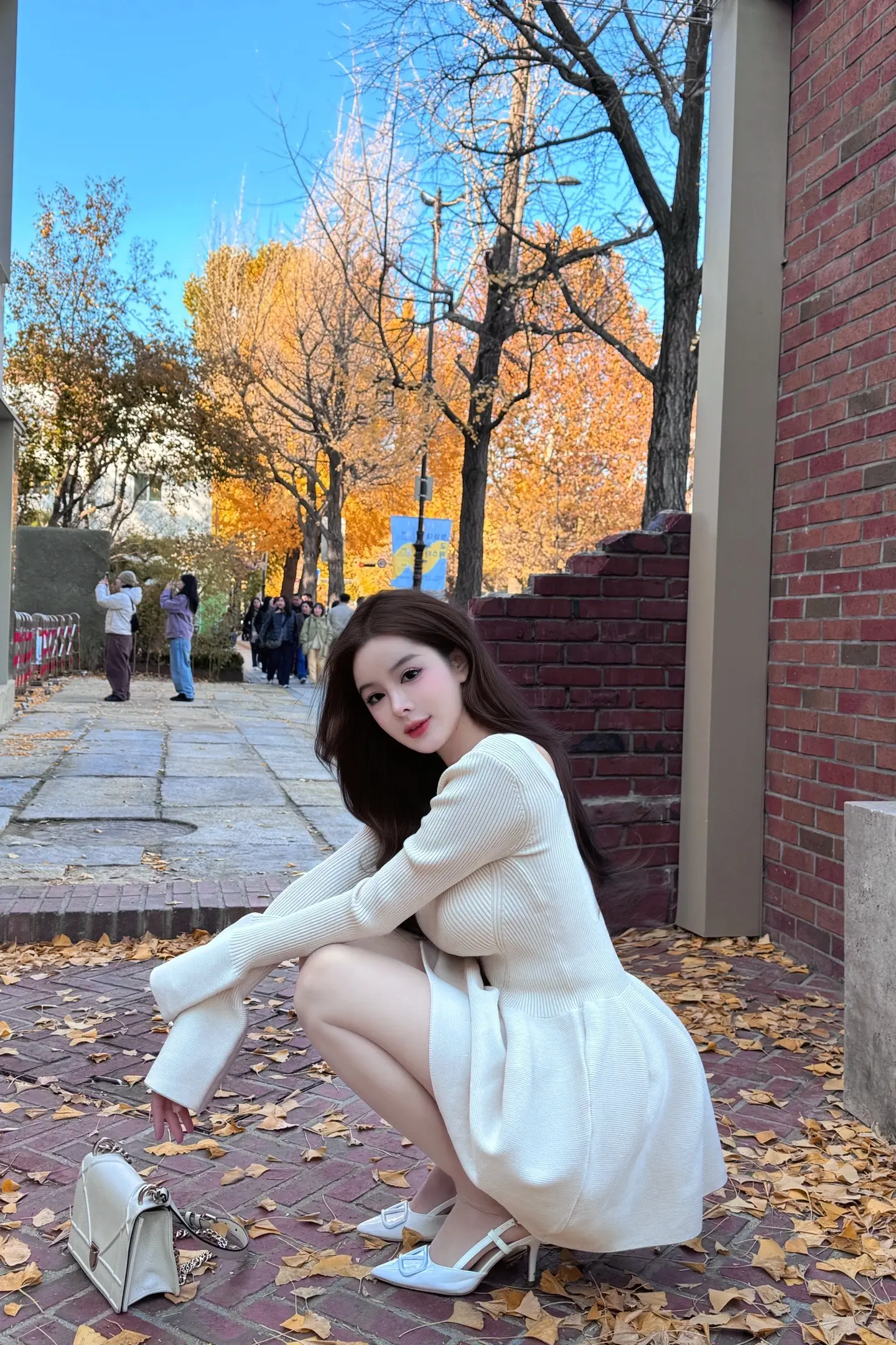 抓住秋天的尾巴。落叶🍂