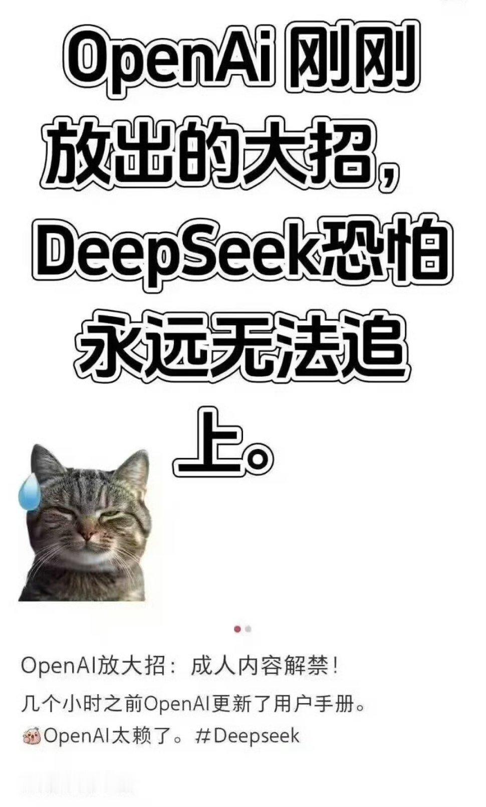 卧槽，openai居然把成人内容解禁了。这是因为打不过deepseek所以耍赖？