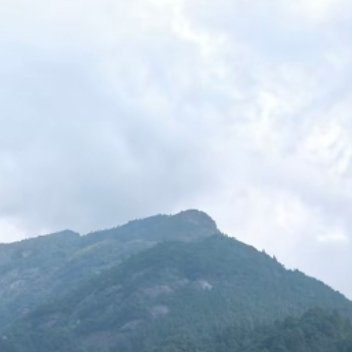 阳光信用[超话] 秋是慢入的，但冷是突然的，记得添衣，好好照顾自己，等落叶、等寒