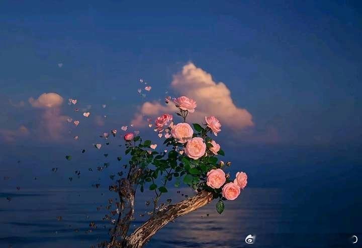 浅浅地笑，静静地爱，把过往的褶皱轻轻抚平，让当下的每一刻都闪着微光！ 