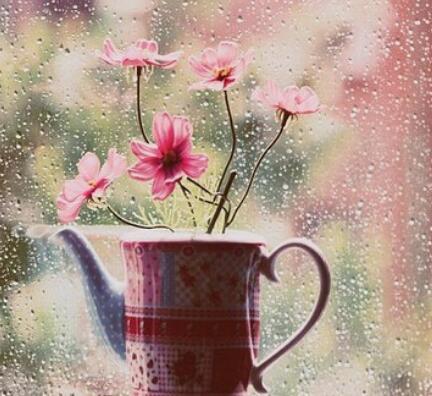 当白羊、巨蟹、天秤、摩羯和对象吵架的时候，他们都喜欢跟对方翻旧账，但却不懂得见好