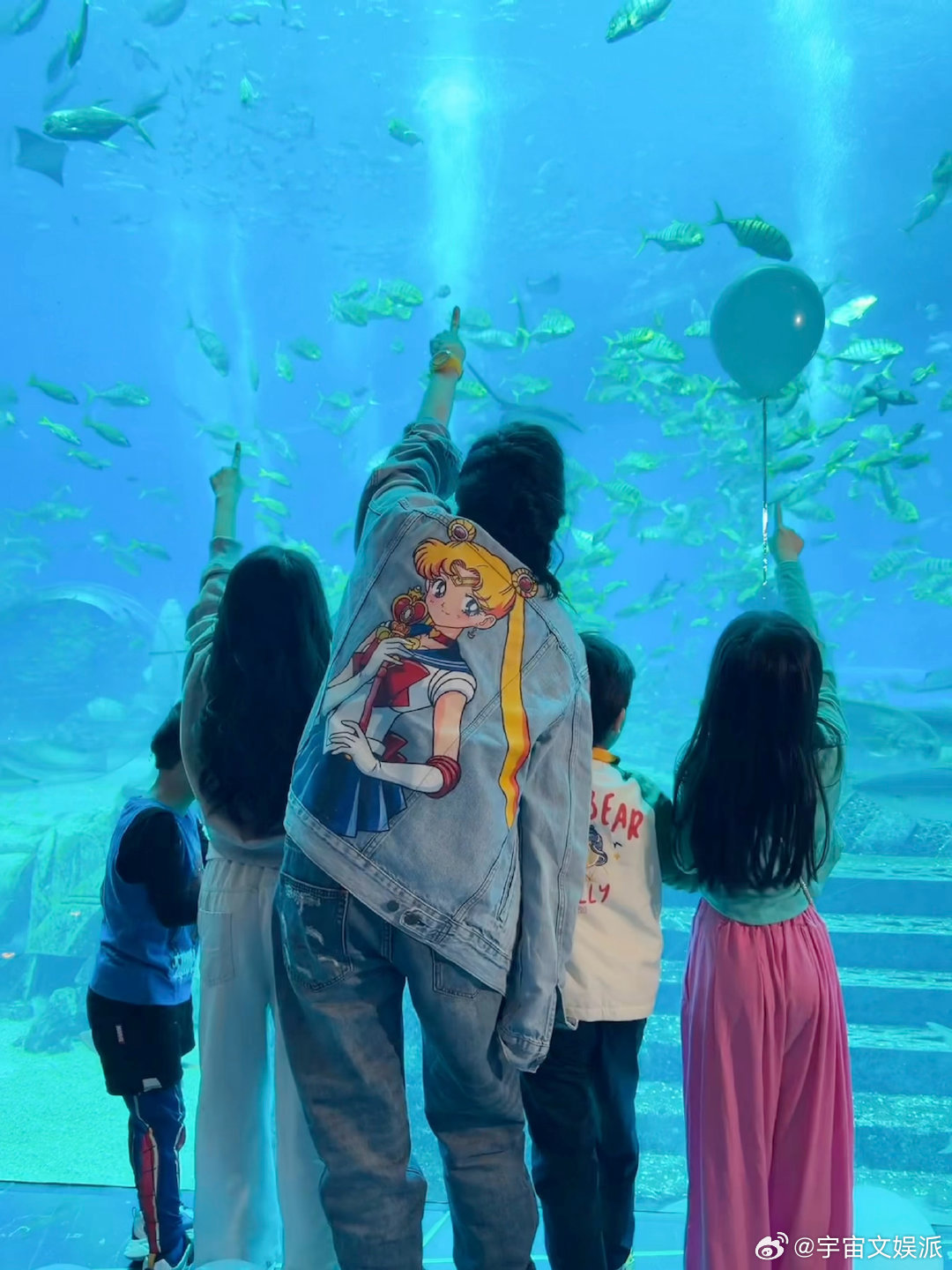 张柏芝一家四口幸福时刻 蓝色海底世界里，一家四口同框看鱼，背影里藏着稳稳的温暖，