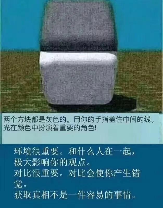 太神奇了