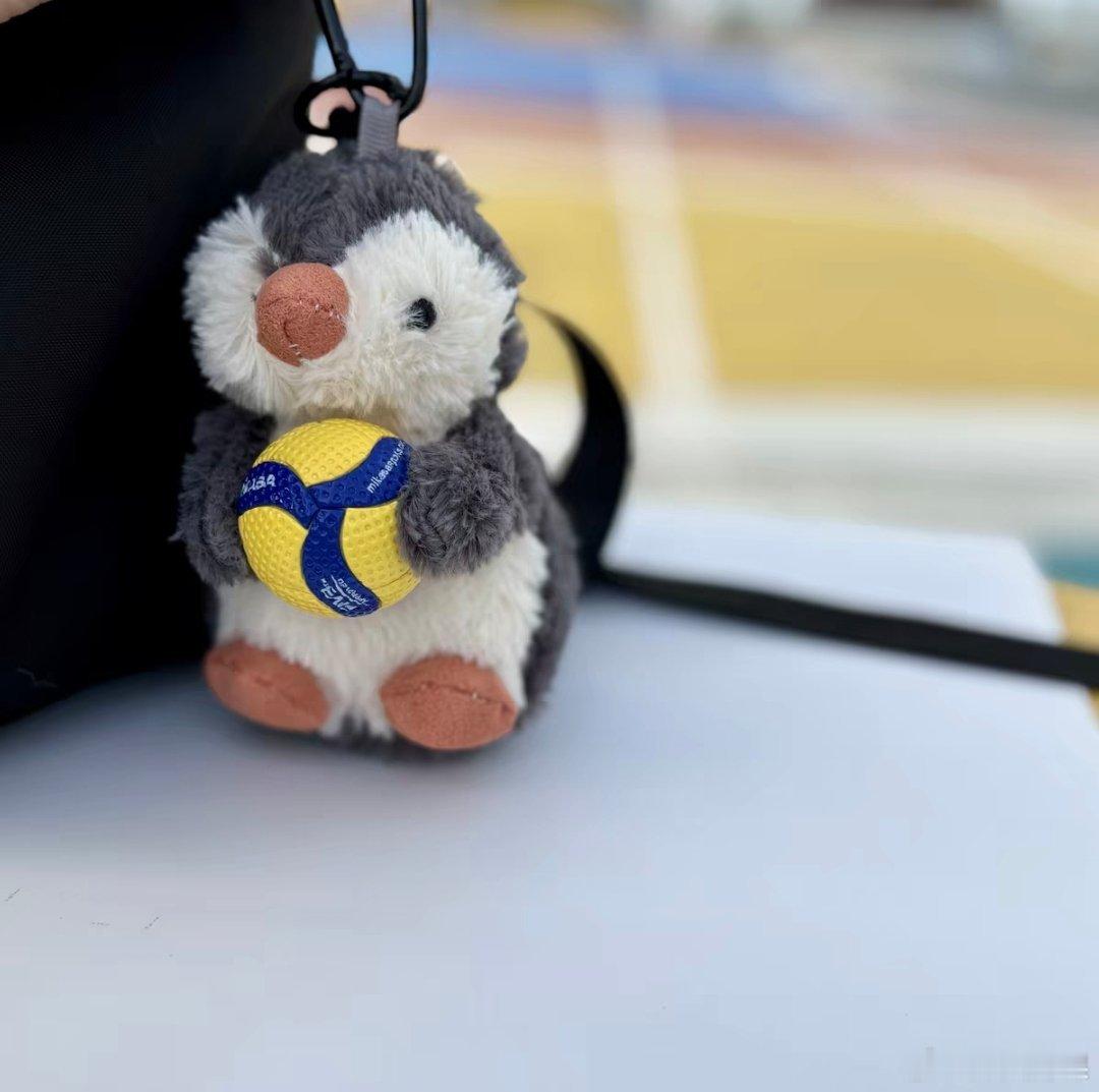 排球不落地 又（即将）多一个排球周边19块 看实物到了咋样 