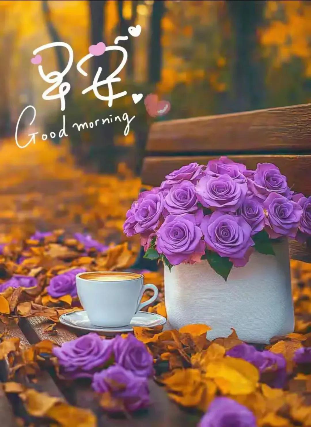 #分享一张随手拍的花。#
早安！在 2024 年 10 月 6 日这个美好的日子