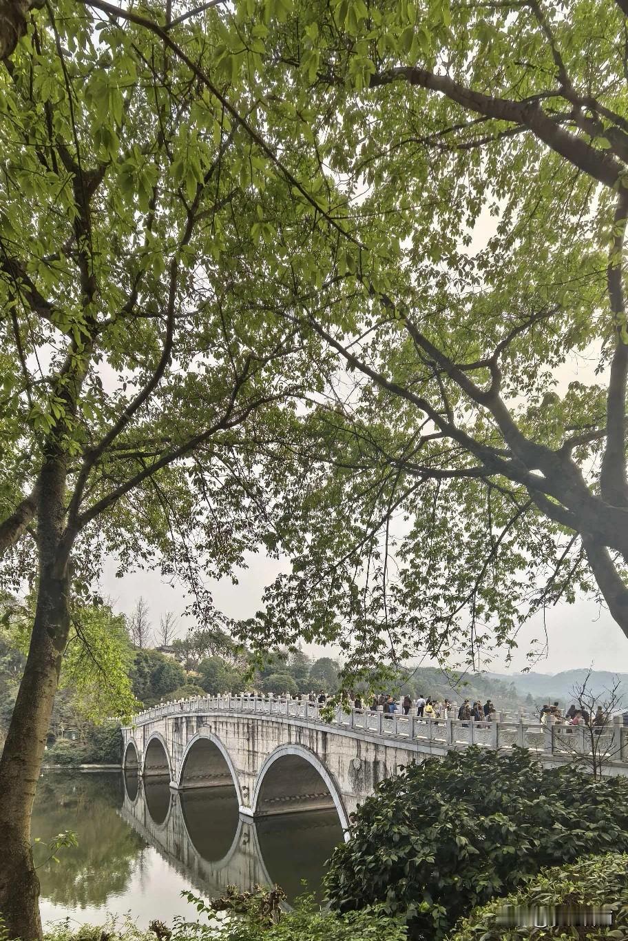 春日的阳光如金色的纱幔，温柔地洒在大地上，唤醒了沉睡的万物。

微风轻拂，带着泥