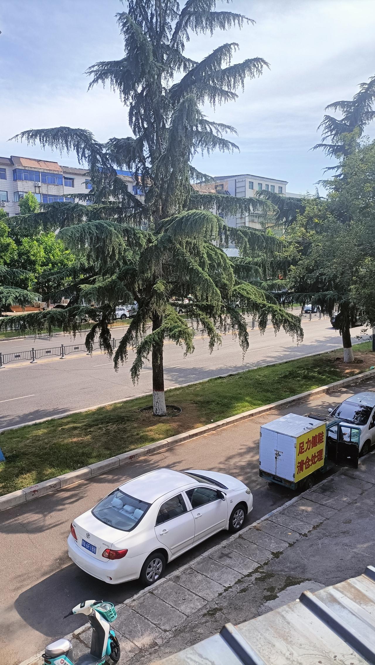 奉劝大家，
从现在开始起，
中午12点到3点千万别出门，
因为入伏期间马上就要进