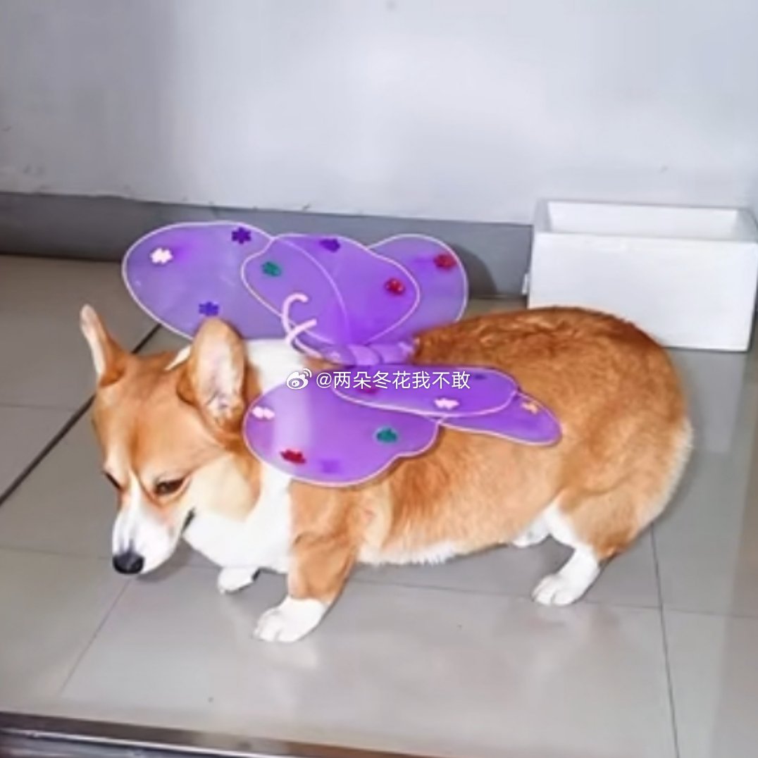 父女同款 