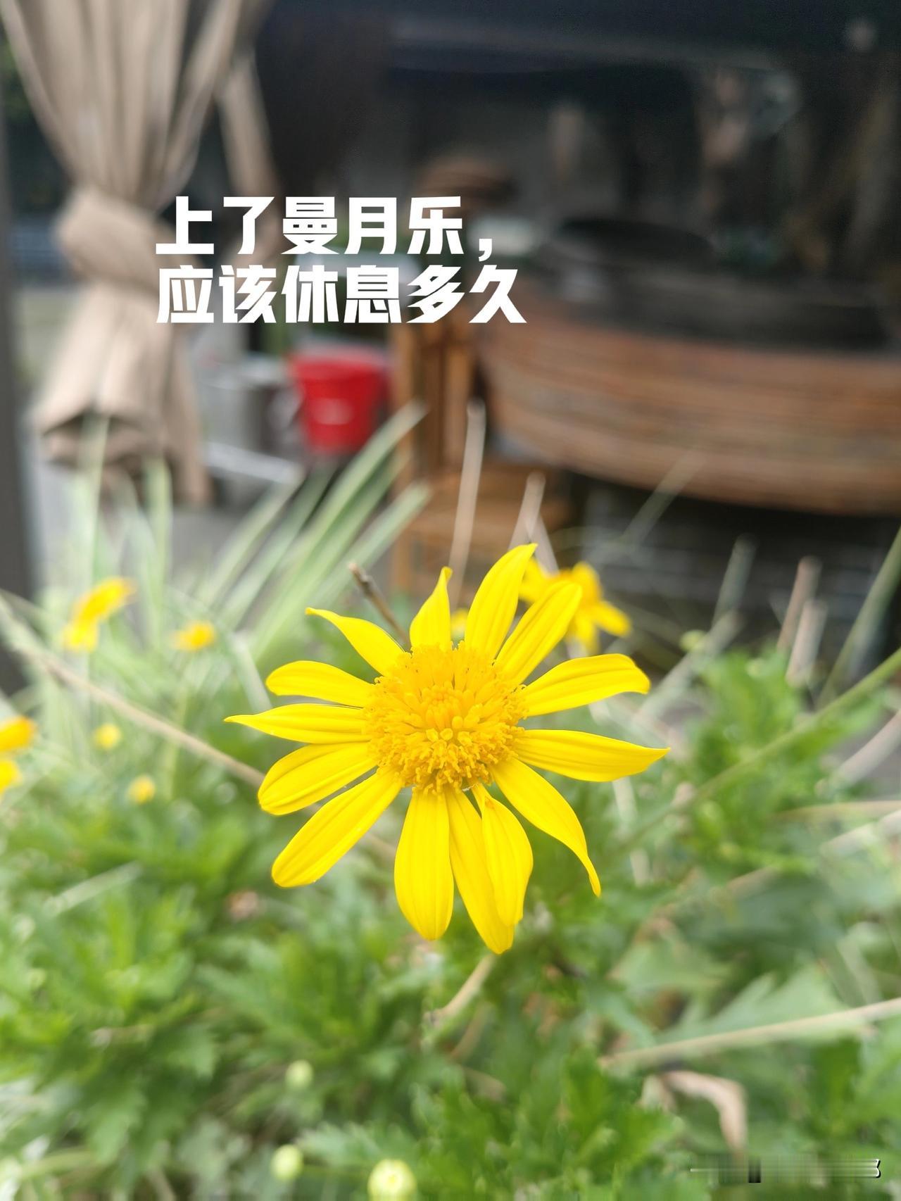 子宫内膜息肉增生上了曼月乐，到底应该休息多久？

我应该算是比较可怜的吧，我是今