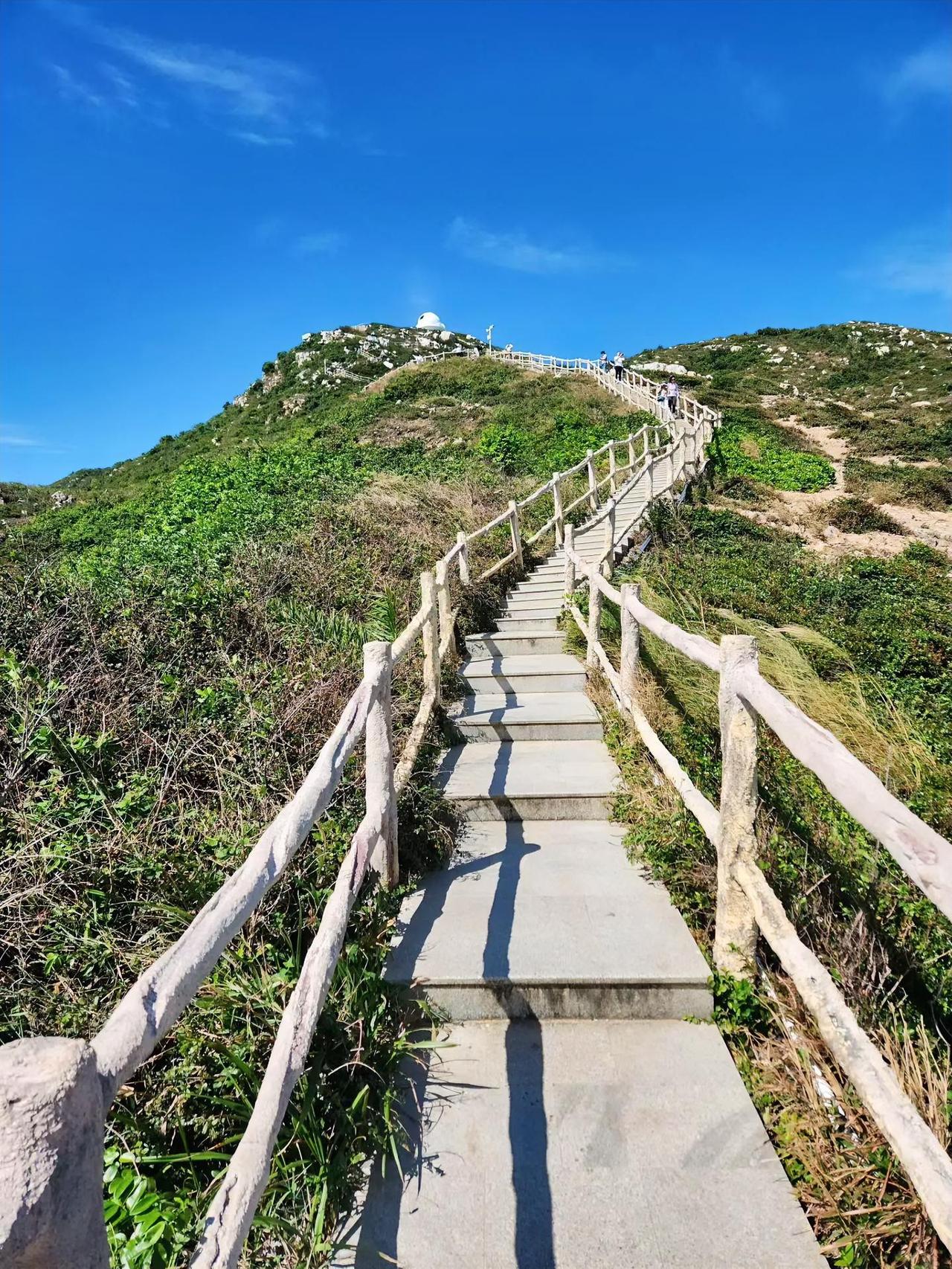 想要健康长寿，

不要运动，

不要体检，

不要吃补品，

只要做到独处就好了