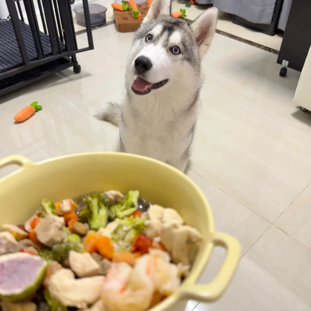 注意看⚠️这是一只甜妹