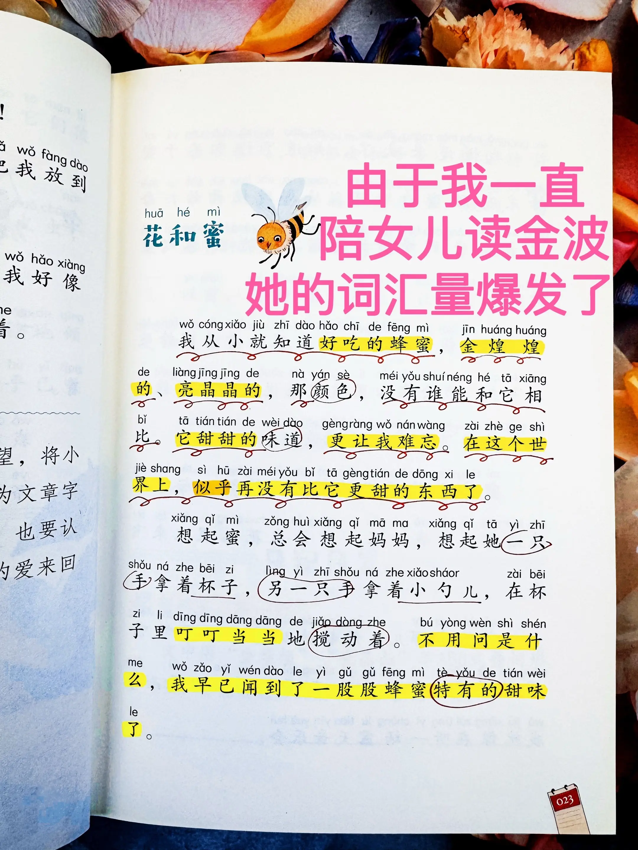 低年级要培养孩子的阅读兴趣和自主阅读能力。➡️这套《金波四季美文》真的...
