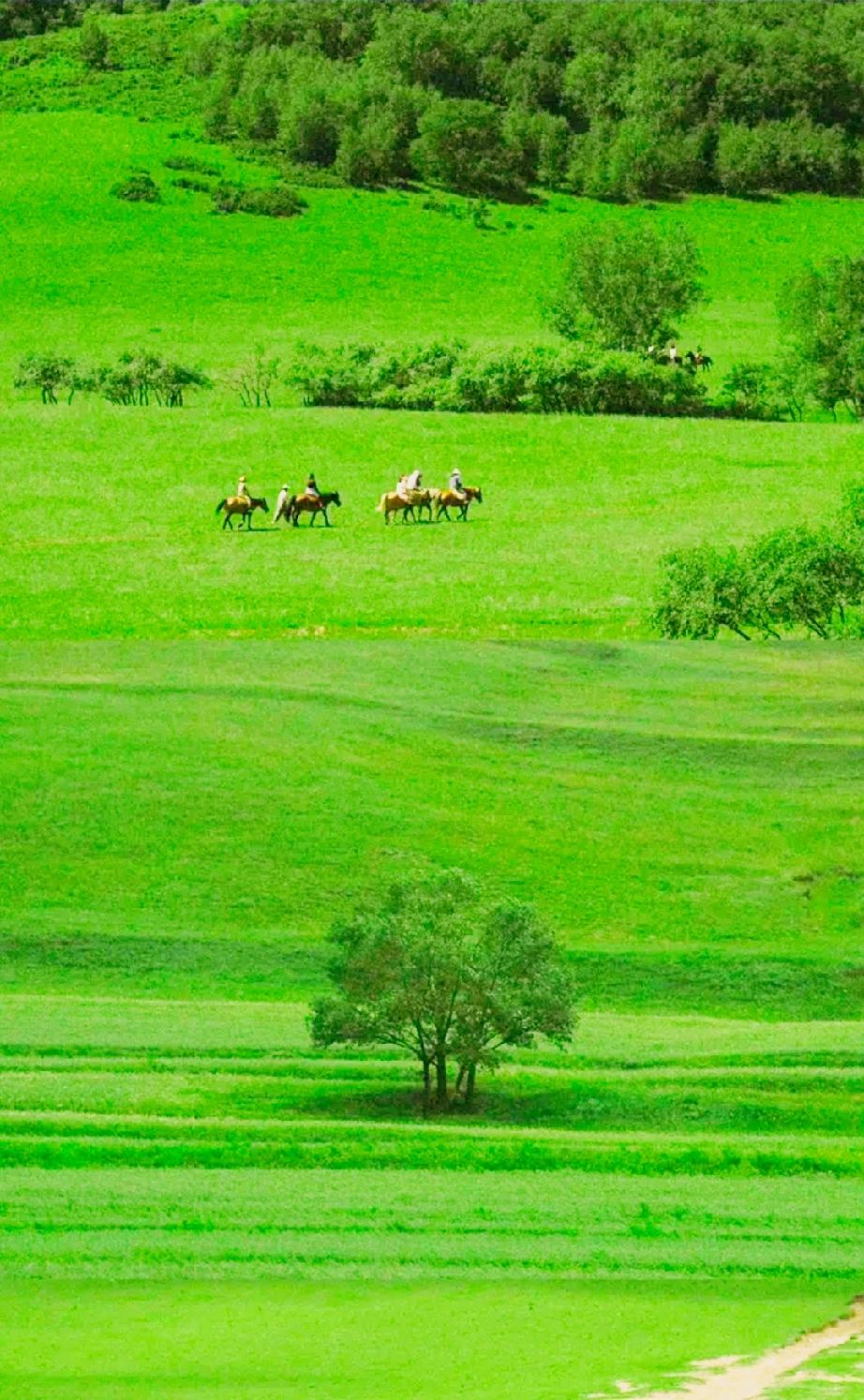 男女之间很多人根本就接不住真心。。真心就像内裤，大家都穿在身上，谁也不知道 对方