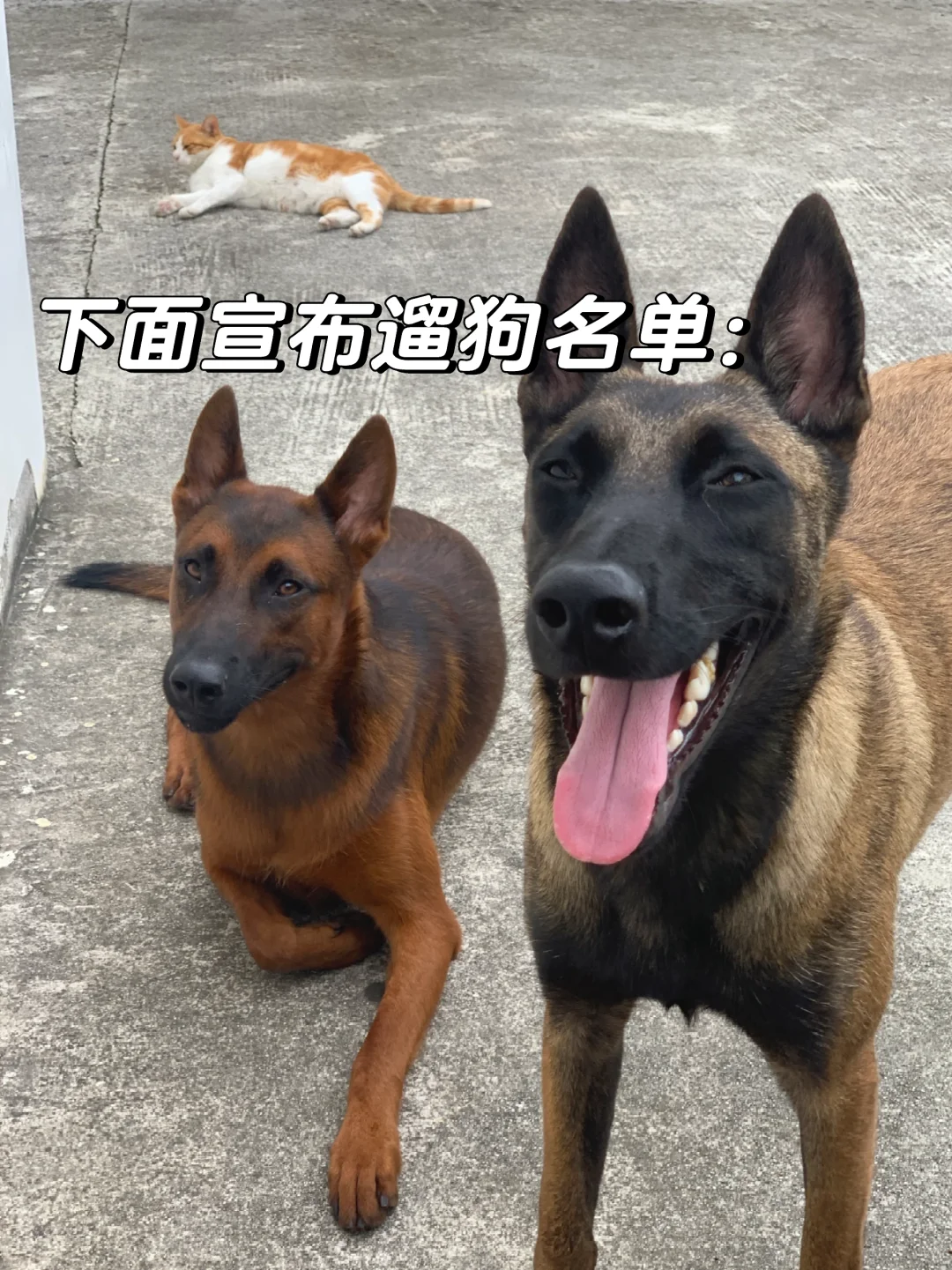 当讨厌的同事抢了你的名额，后背的你be like