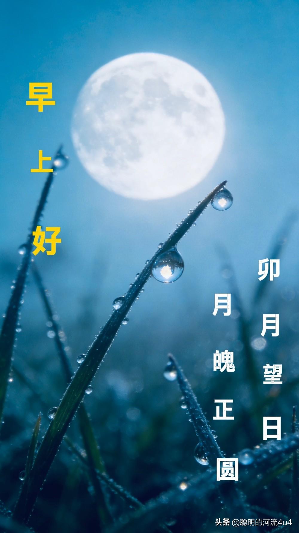 🍃🌹🌿☕️🌱🌕🌹🍃
2026年4月2日
农历二月十五
卯月望日
月