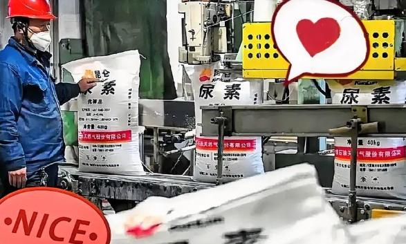 霍尔木兹海峡那边还没消停，谁能想到，咱们西北新疆、宁夏和内蒙的尿素厂却忙得脚不沾