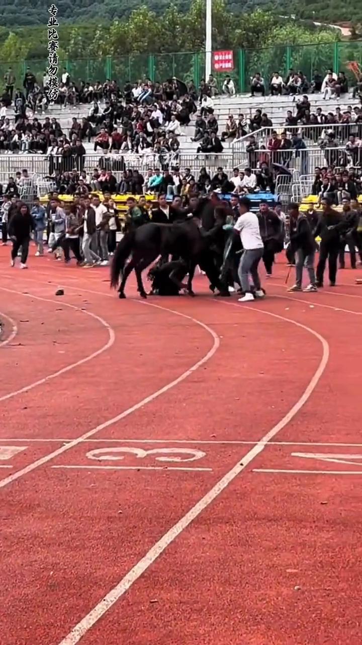 一路向北。
一路向北。