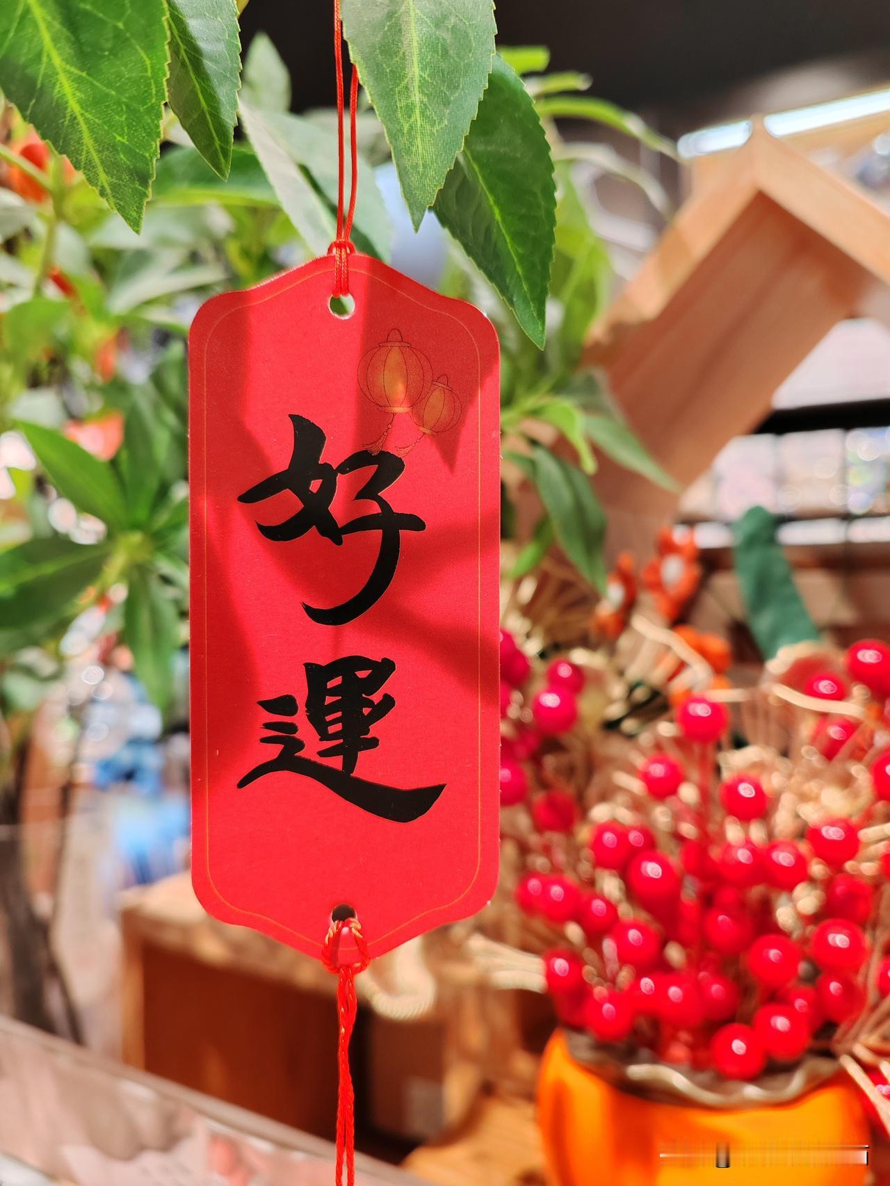 看着侄女现在越来越懂事，我心里既欣慰又感慨。她最近谈了男朋友，男孩是985硕士在