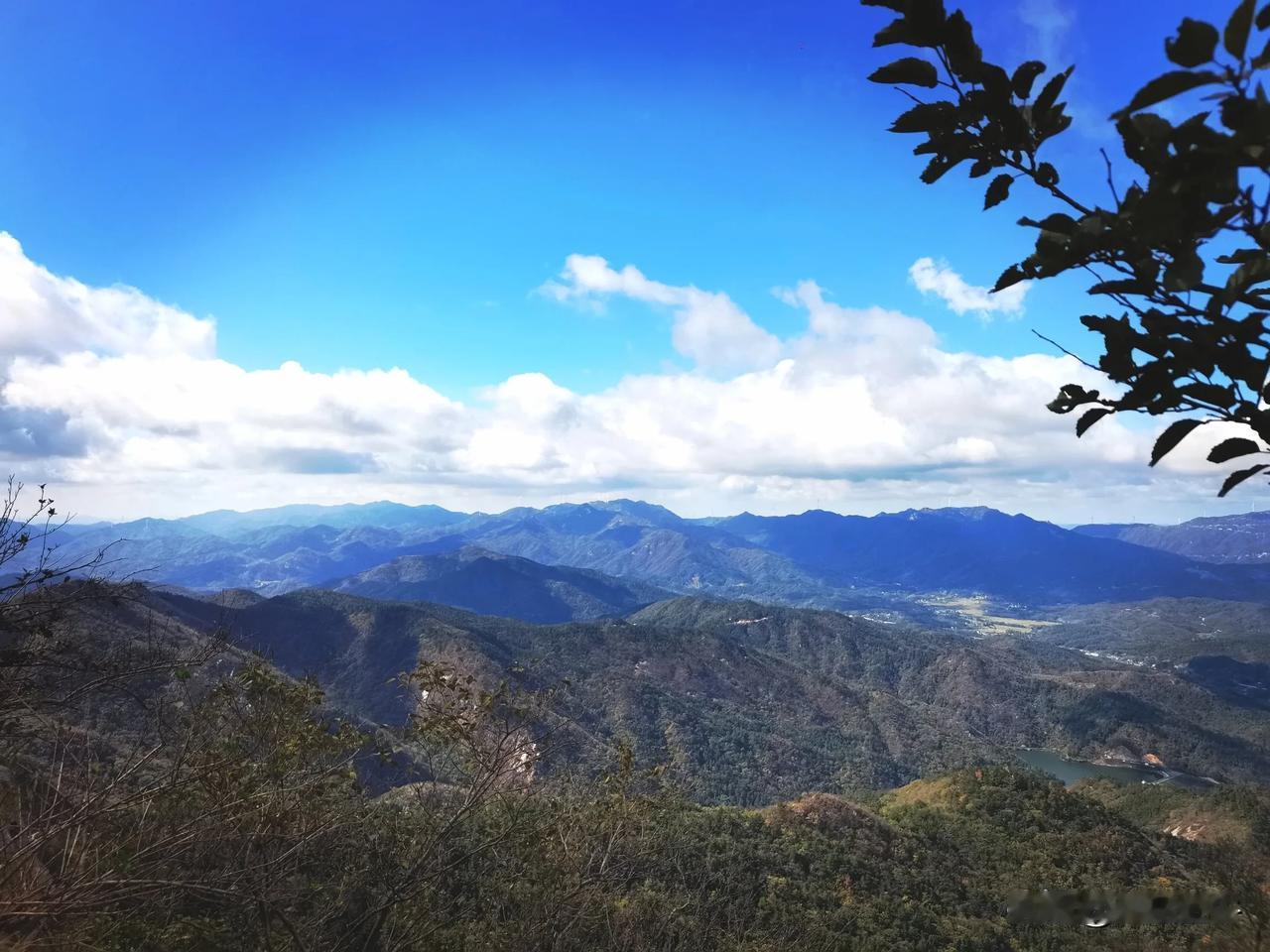 山高水长，云卷云舒。大山之的风光 树尖上的风景 天高云淡美景