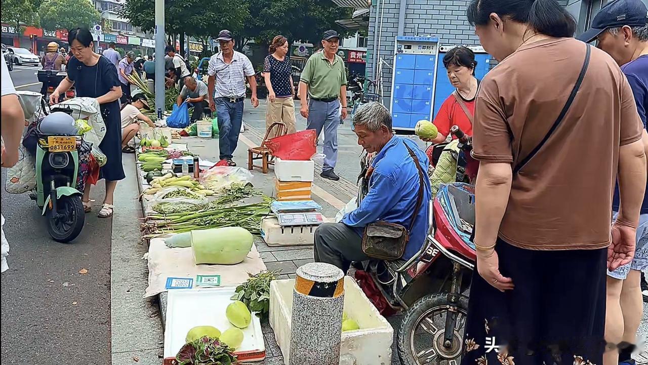 宁波西湾路早市藏不住！600米沿街地摊，老宁波人的买菜天堂。

宁波西湾路文化路