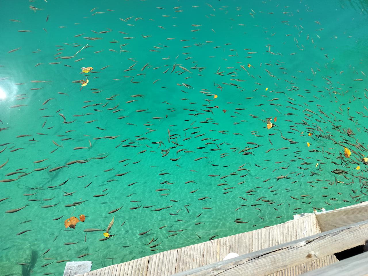 秋日生活打卡季中双色球一等奖