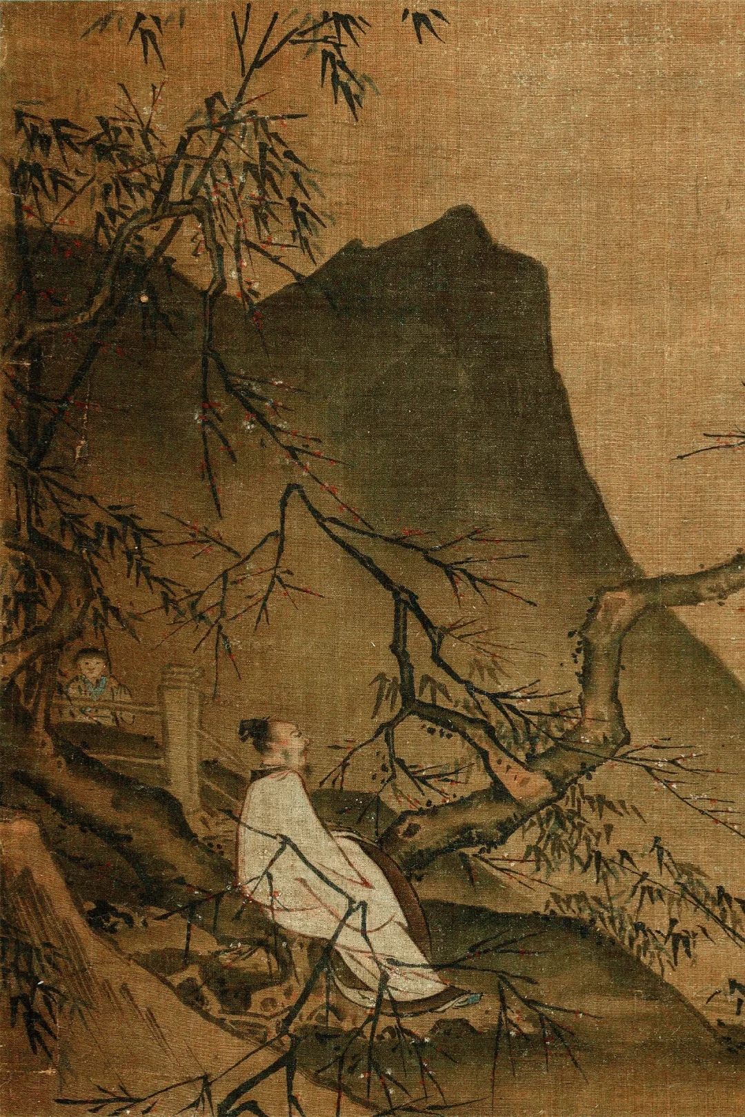 老祖宗太会了！夕阳下赏梅太诗意了