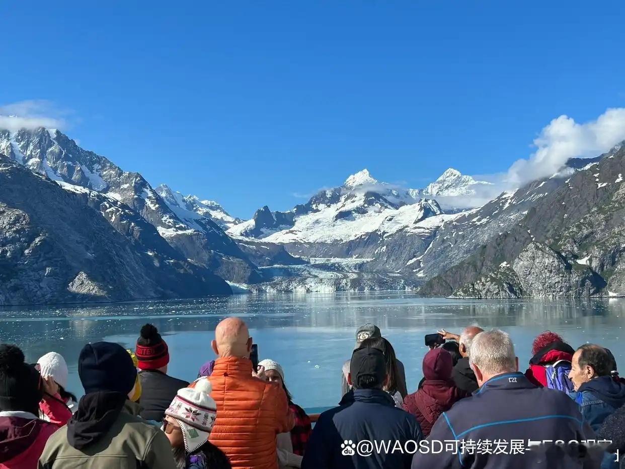 冰川崩塌背后：一场生态“多米诺”正在上演长期以来被视为地球寒带稳定标志的冰川，正