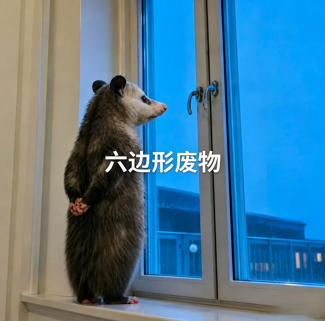 好图分享～ 