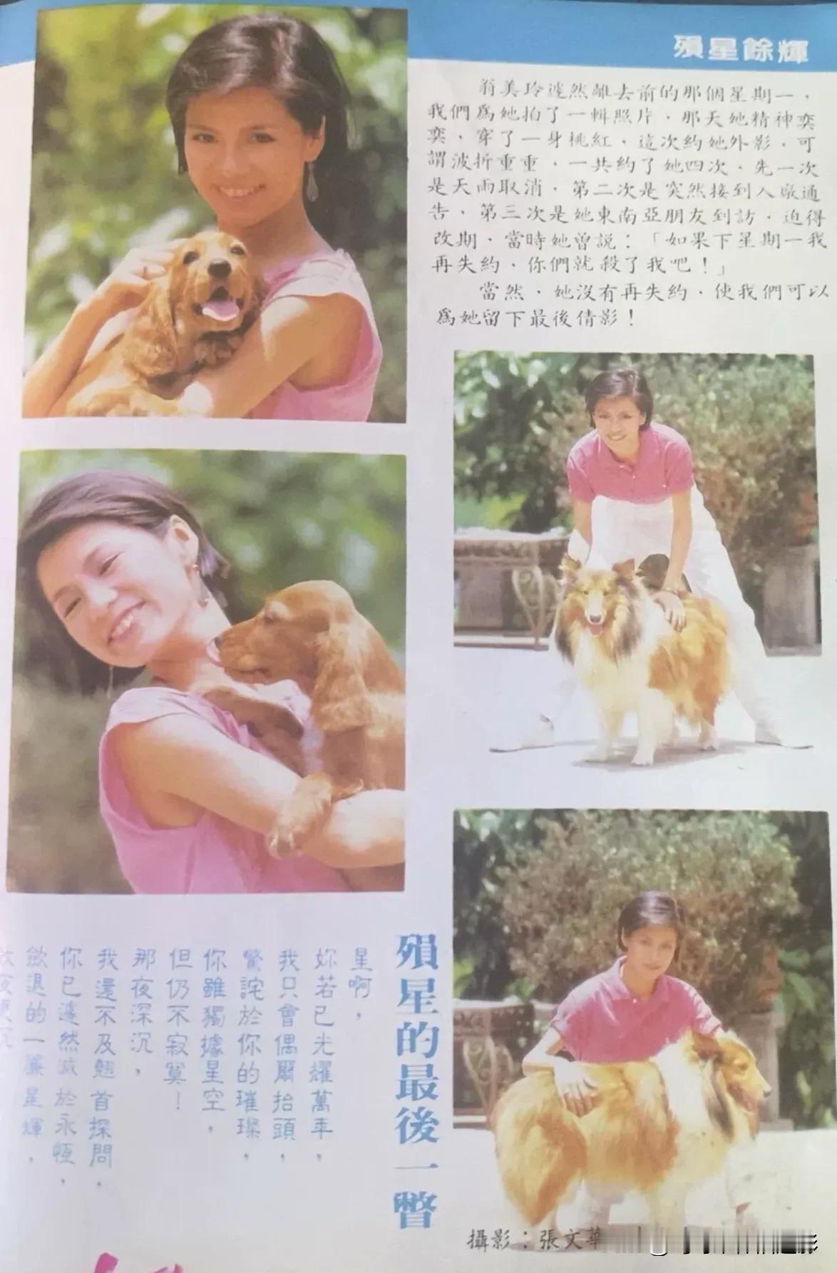 岁月静好，与狗狗相伴的美好时光🌼