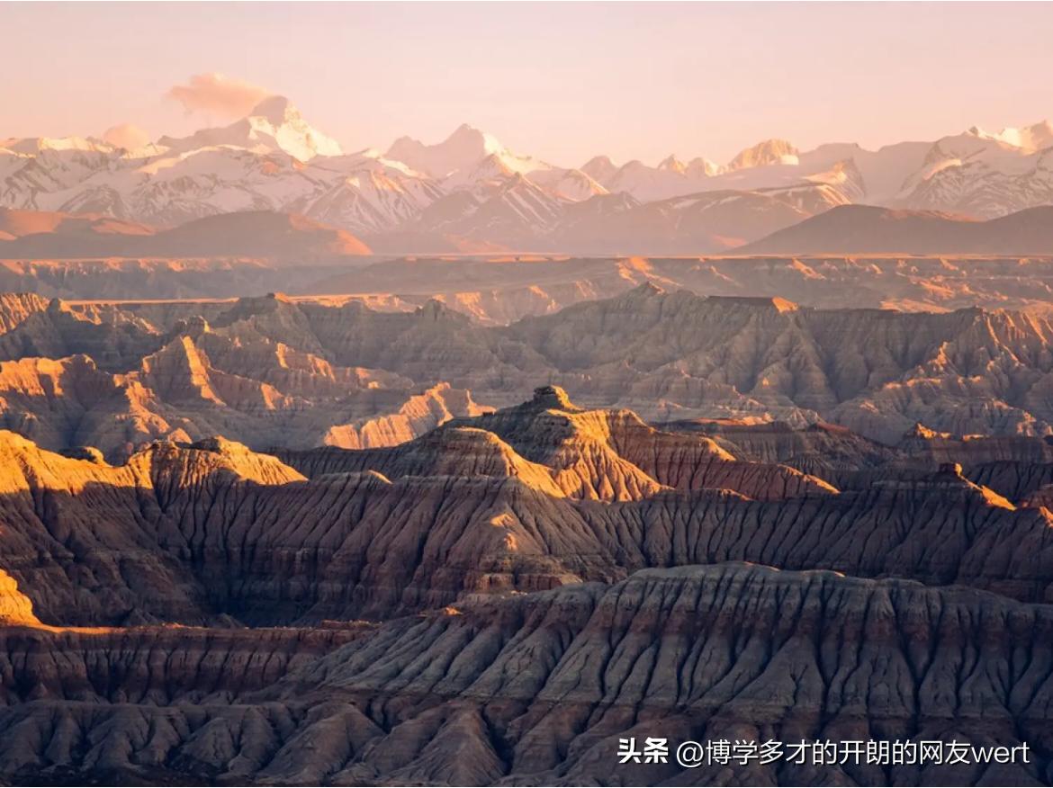 快来看看我新换的主页背景吧