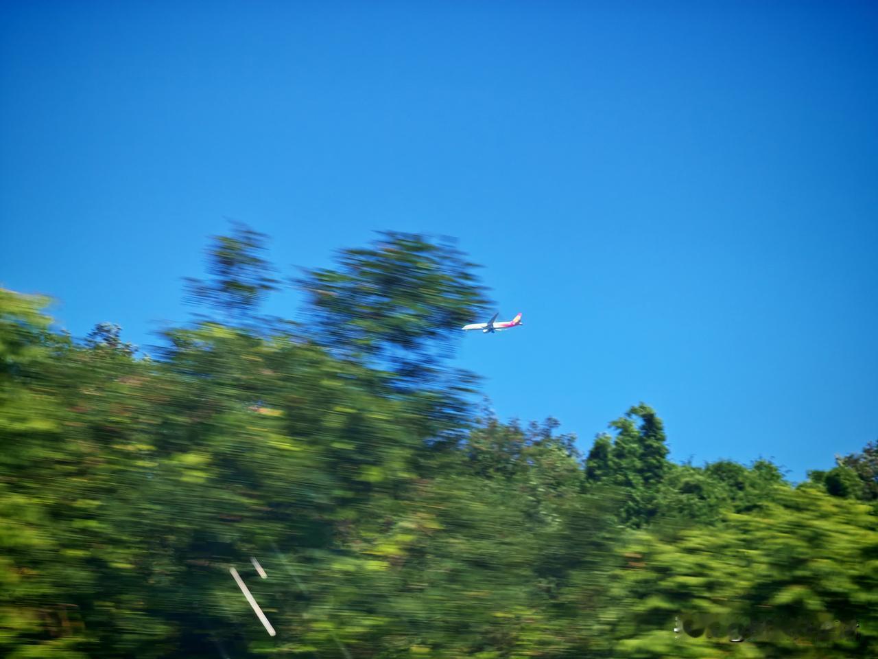 还没11点，重庆体感温度就飙到了40℃，上个厕所就像是在火炉里一样，你都不敢蹲太