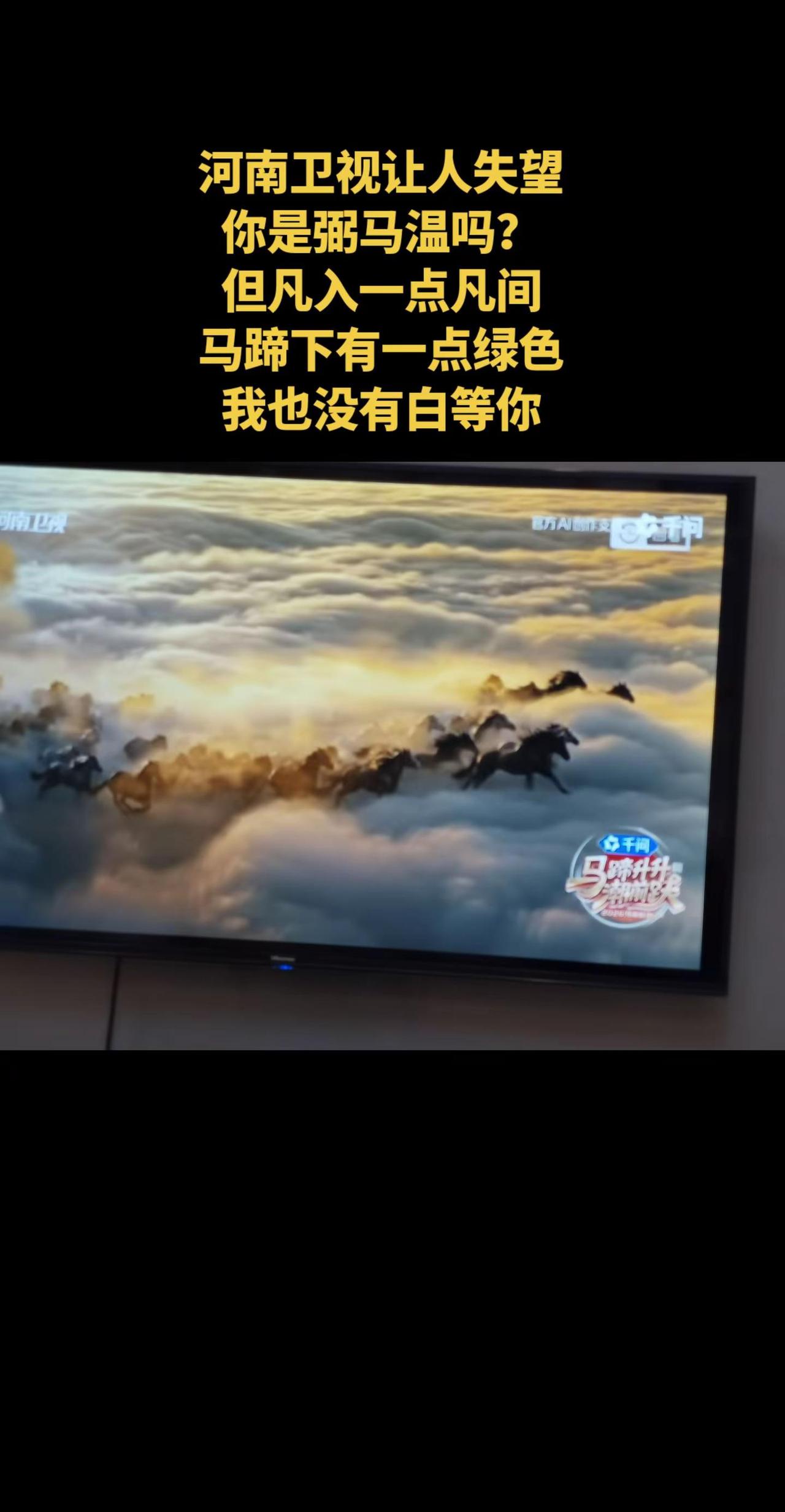 河南卫视让人失望你是弼马温吗？但凡入一点凡间马蹄下有一点绿色我也没有白等你