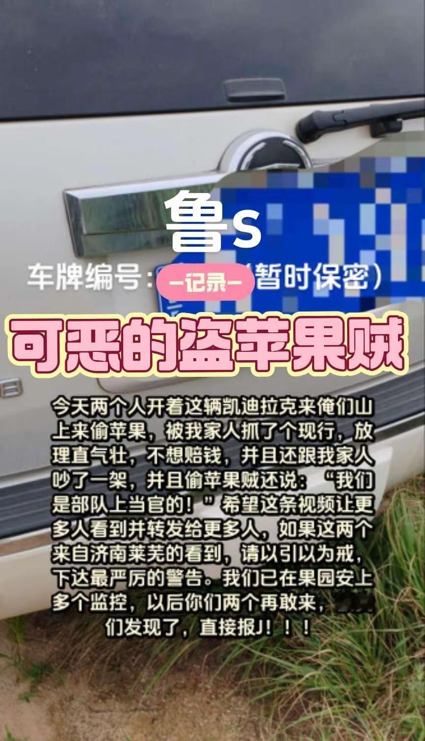 偷苹果贼。汽车的奇葩遭遇 套牌 偷苹果贼实在太可恶了，把我们的一筐子苹果都给偷走