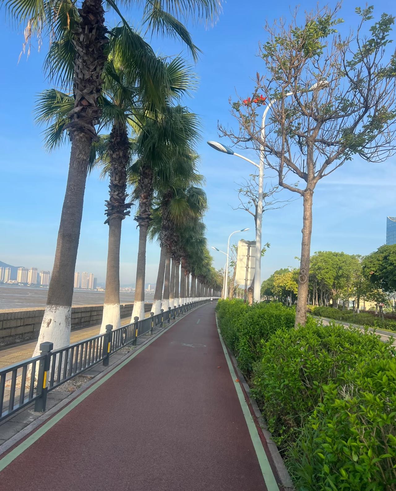 人到中年后，想要健康过好下半生，跑步是你唯一的选择和出路
        人到中