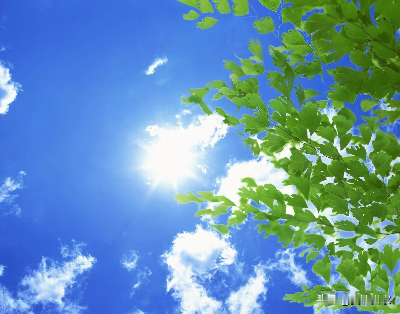 广东电影产业的优势在哪里广东位于粤港澳大湾区的中心，拥有深圳、广州、香港、澳门等