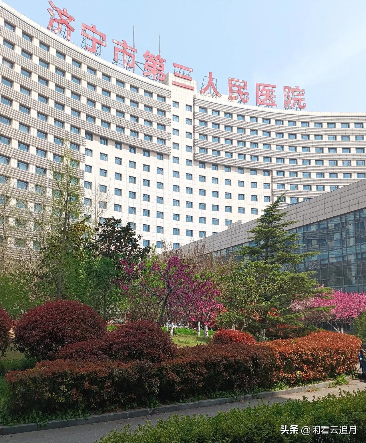 割痔疮的经历与感受（四）
术后第五天，早上主治医生给换药时说，伤口恢复的很好，早