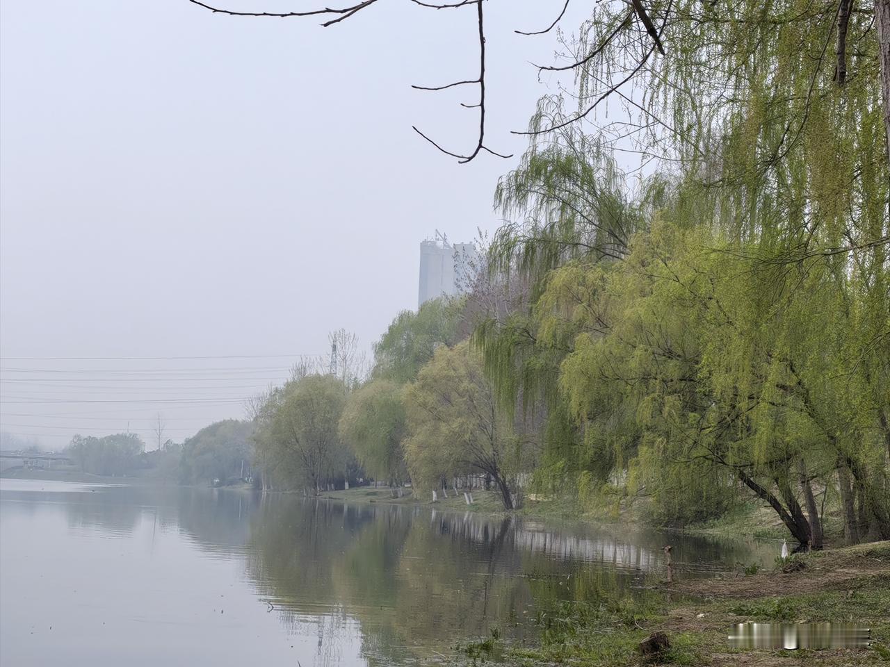 停更频现，自媒体是不是经济的晴雨表？

在自媒体上，经常看到"江湖再见"的博主停