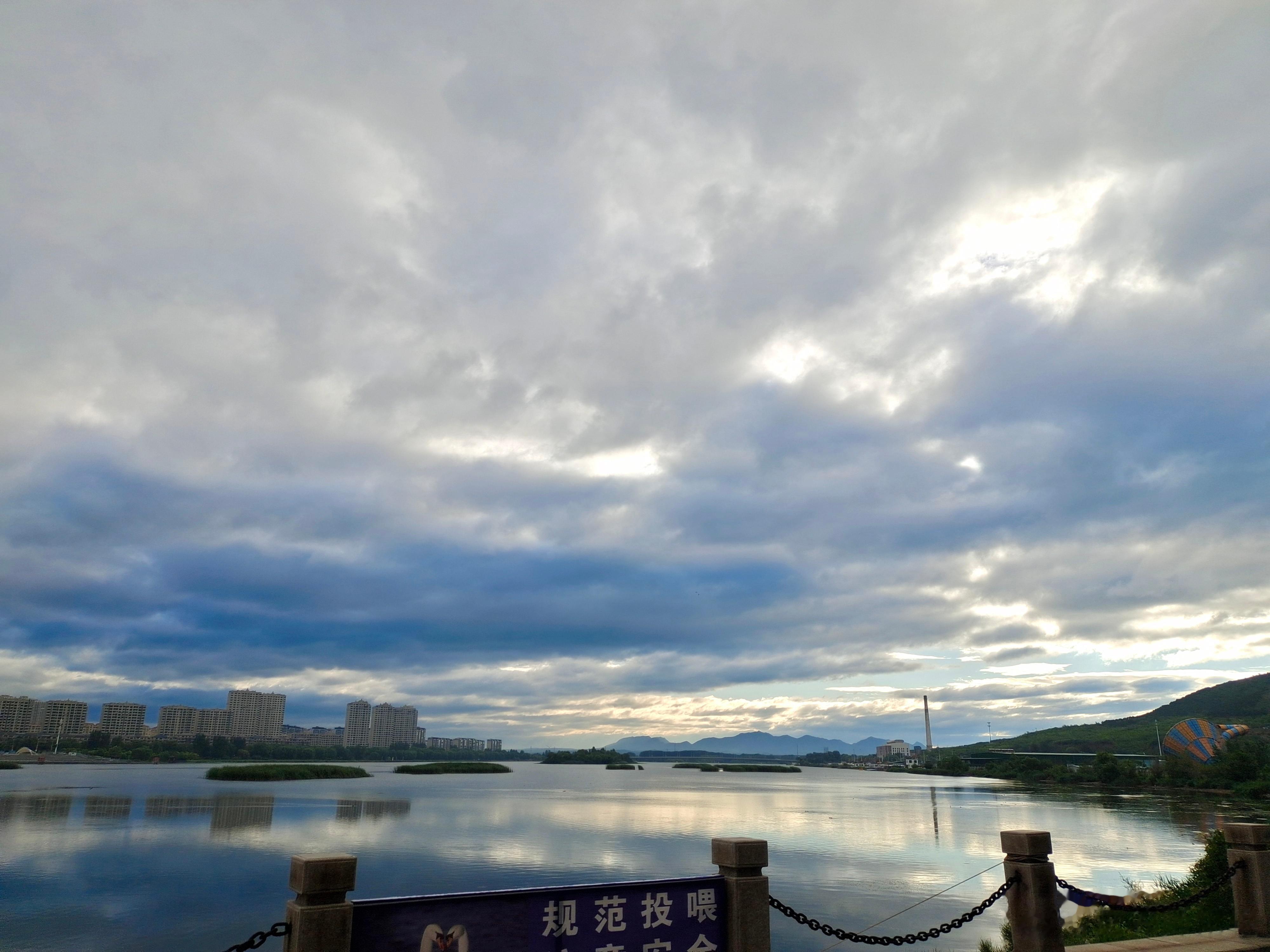 早ﾉ☀雨后的早上，路上很多早起蜗牛的尸体，它可能都不知道发生了什么...#早安#