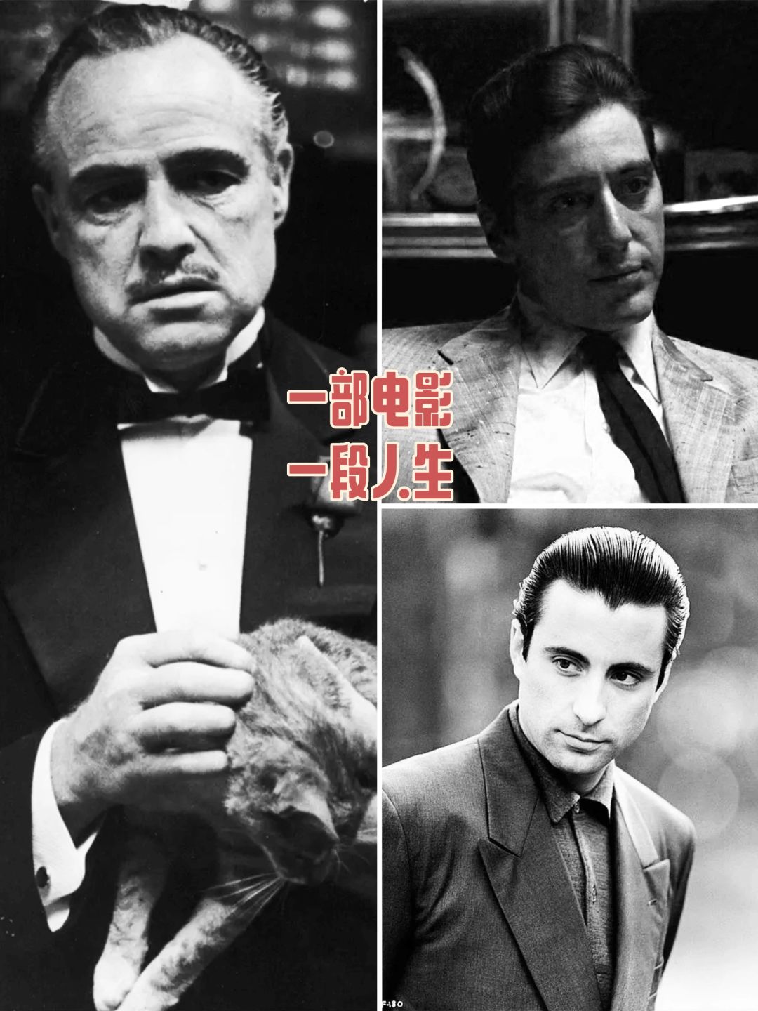 全世界都说这部电影好💯不看是不对的⁉️