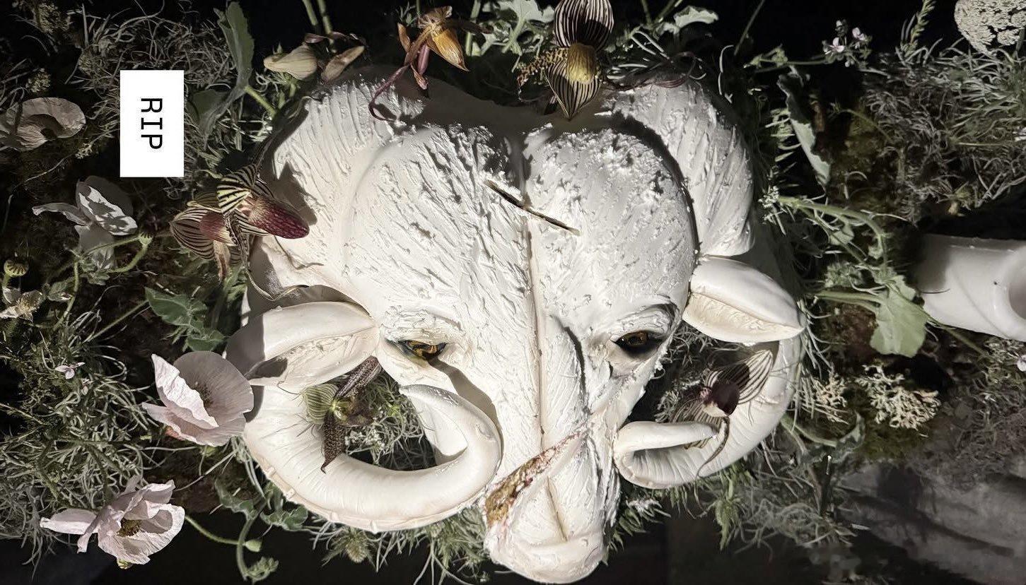 安雅·泰勒-乔伊结婚典礼上的蛋糕和她30岁生日的蛋糕 