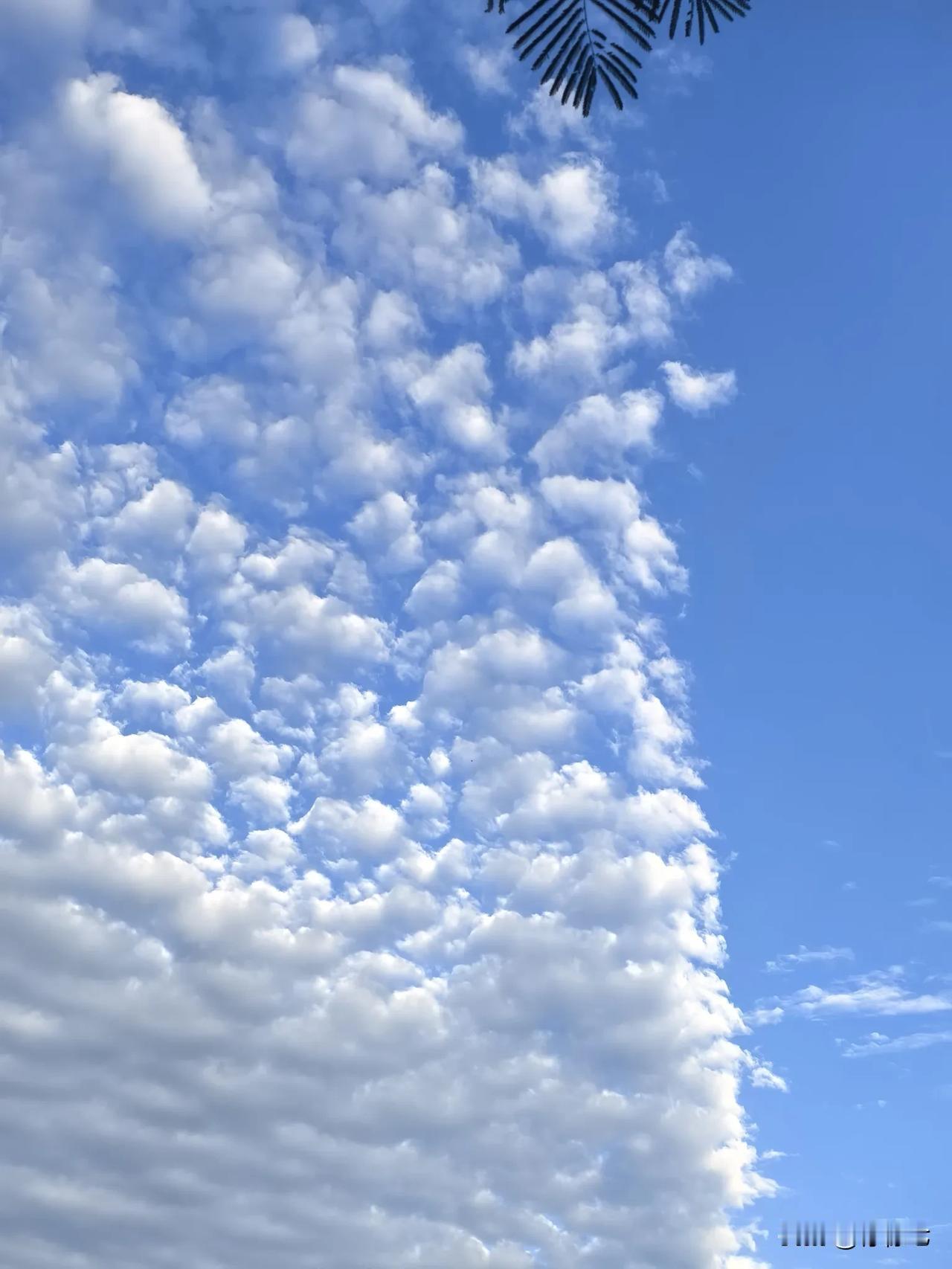 夏日生活打卡季