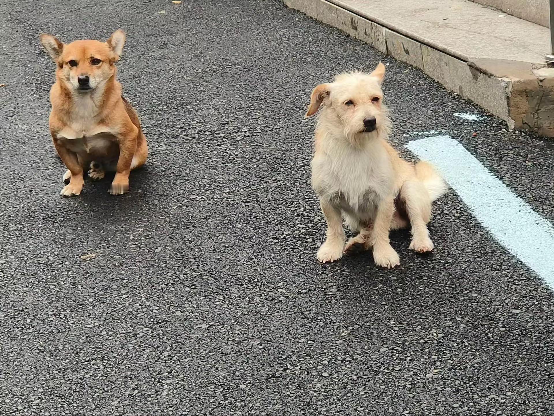 ！？丑丑？！ ​​​