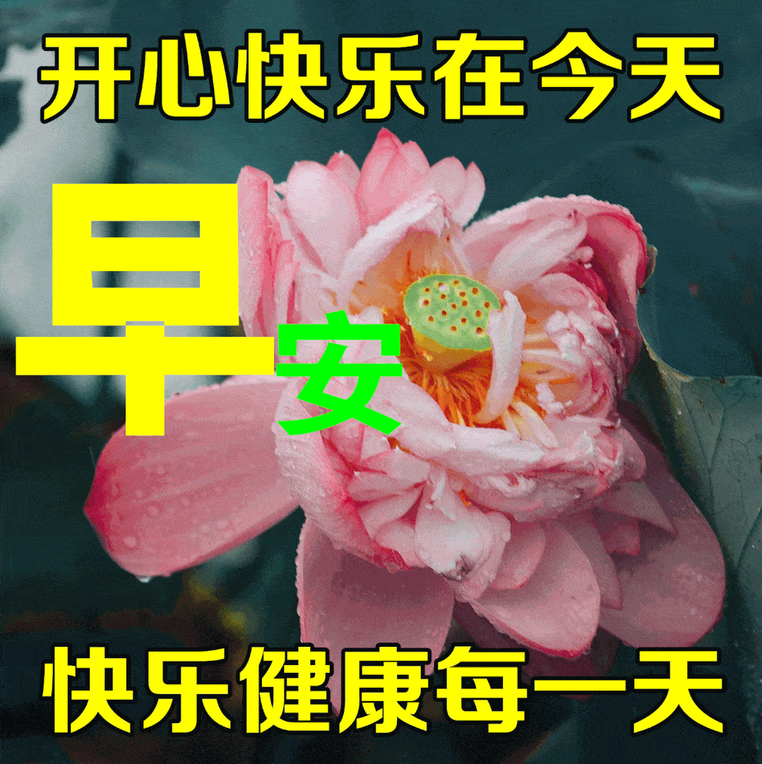 家人们早安！ 打起精神，别辜负每一个太阳升起的日子，新的征途已正式开启！生活或许