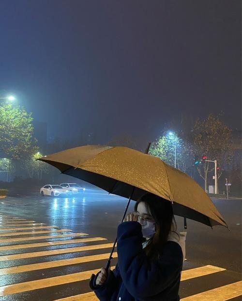 雨天拍照同样漂亮赞同吗？拍照技巧再来分享，多多关注~️ 雨天拍不好，很多时候并不
