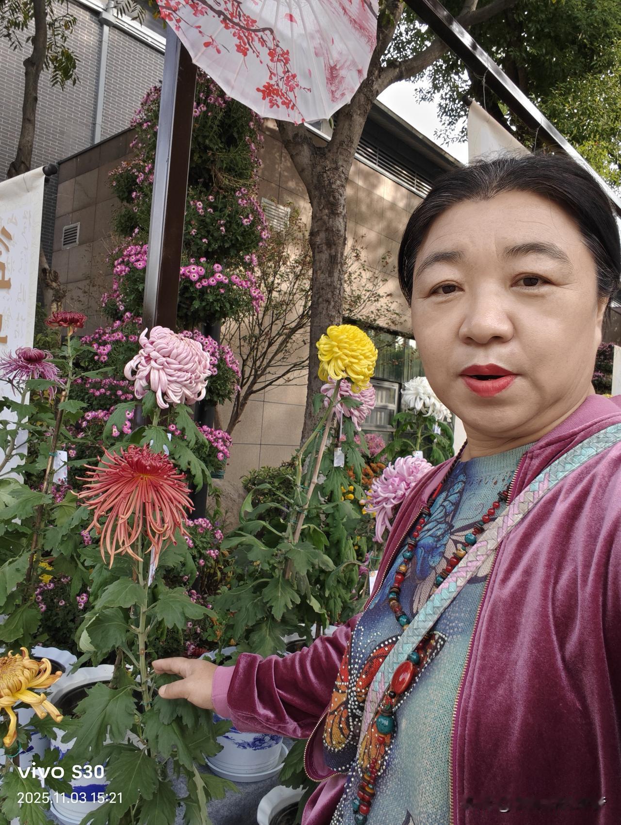 希望我的2026年一切如愿