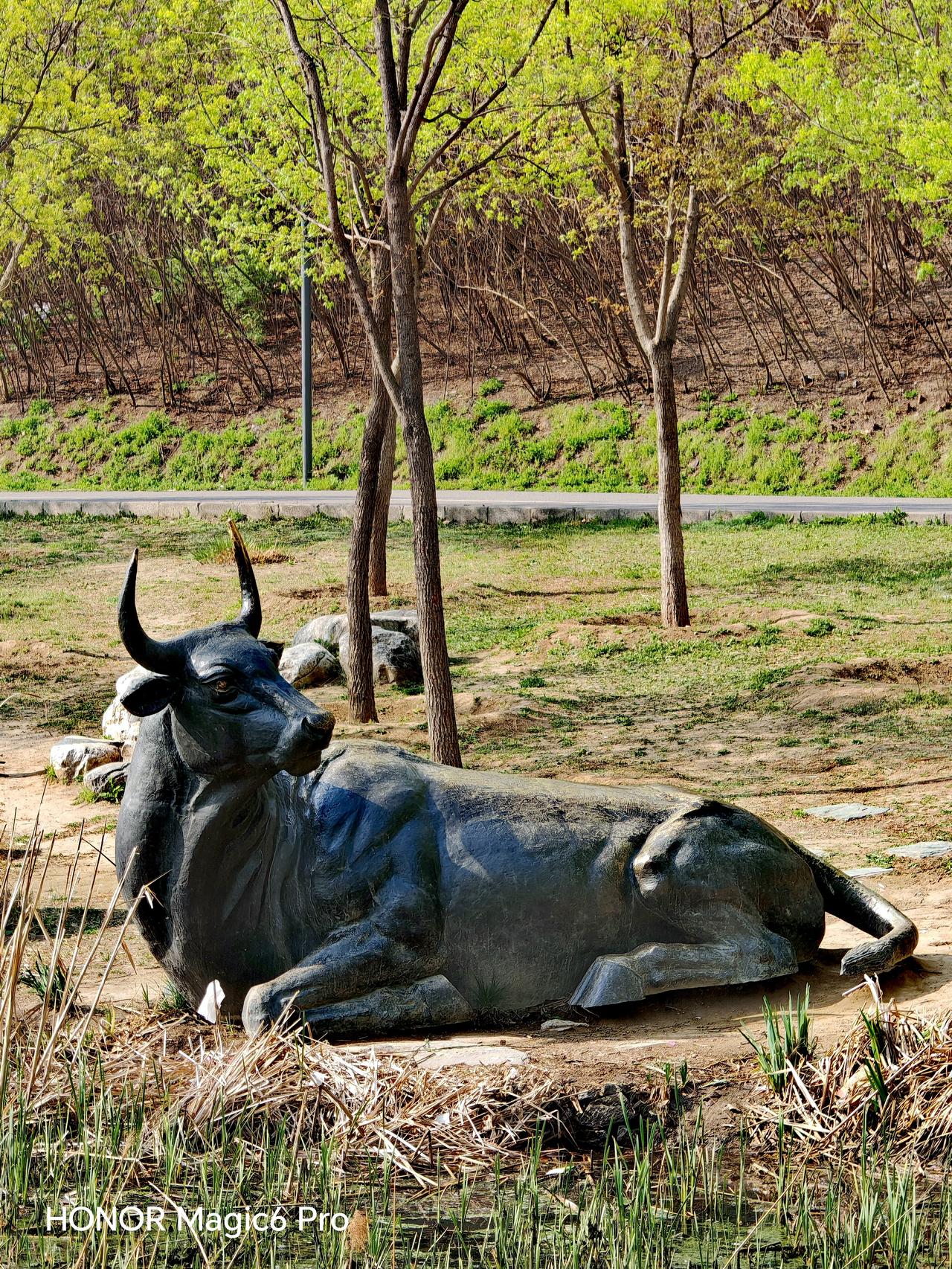 朝阳区马家湾湿地公园的“卧牛问溪”景观超有意思。那尊青石材质的卧牛雕塑静卧萧太后