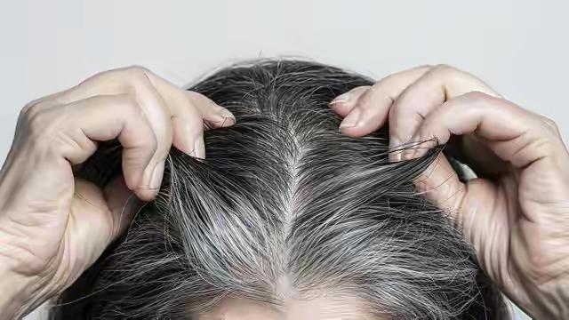 人体缺什么维生素会长白头发呢？怎么防止白发出现？看完就明白了

人体缺乏哪些维生