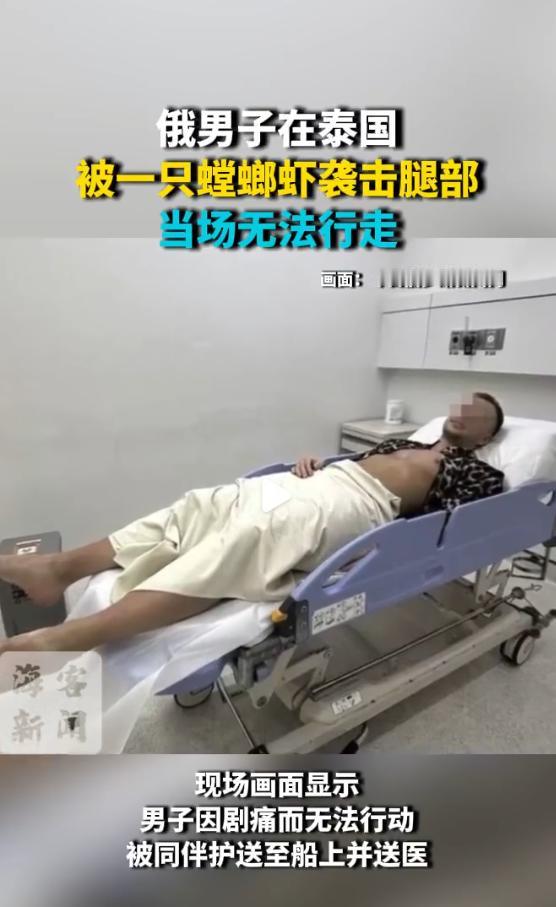在泰国旅游，有人被蛇咬了、被猴子抢了包，这都不算稀奇。但你能想象吗？一个身高体壮