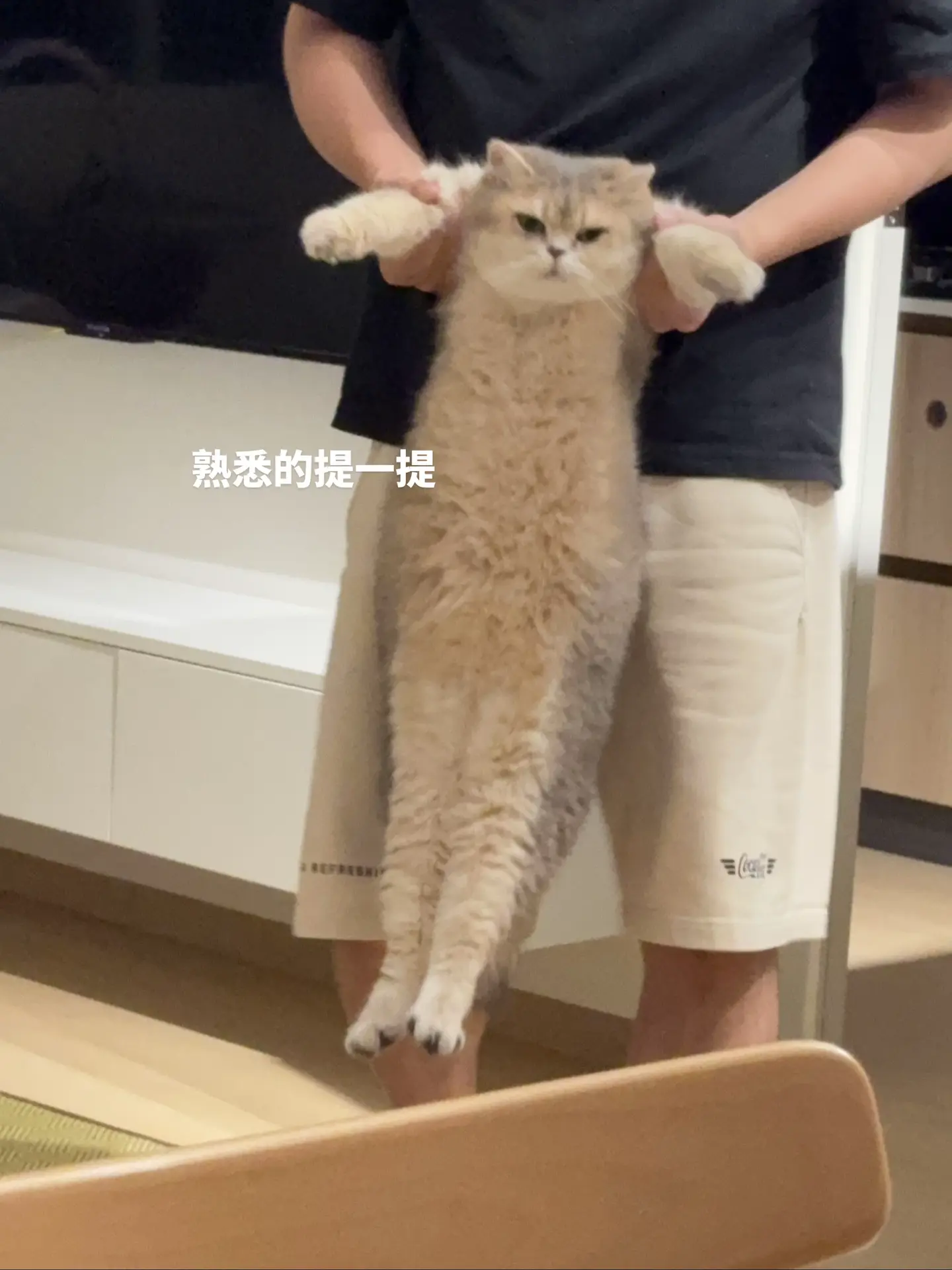 没有更新的日子，都是在默默的开心幸福