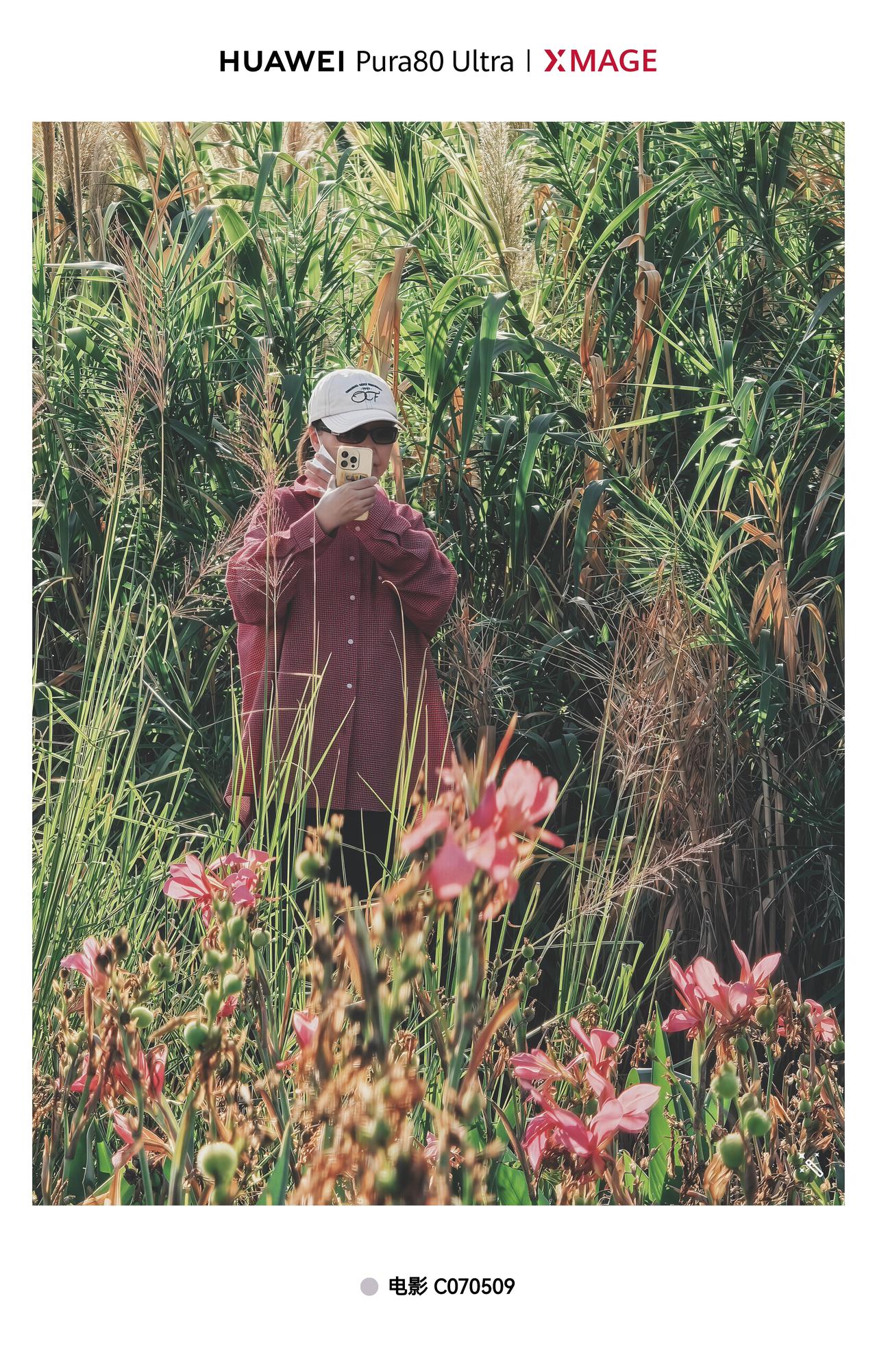 在仙人蕉花与草丛中的大姐，她也在拍照。Pura80ultra XMAGE 影像 